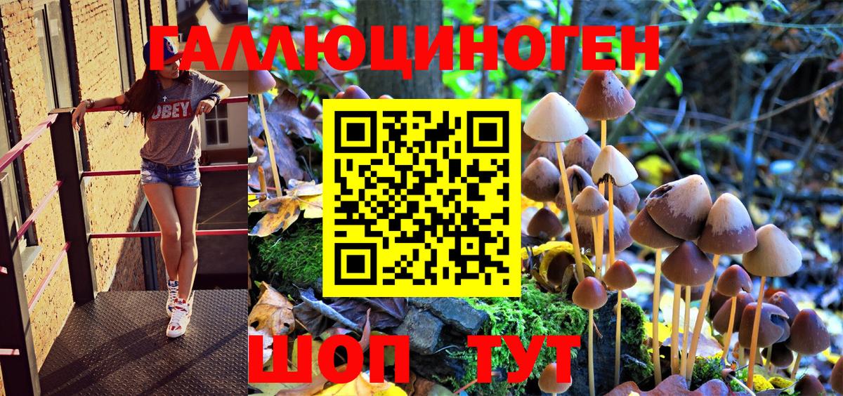 Псилоцибиновые грибы мухоморы Новоуральск